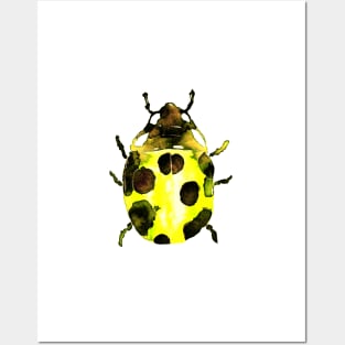 Yellow Ladybug Posters and Art